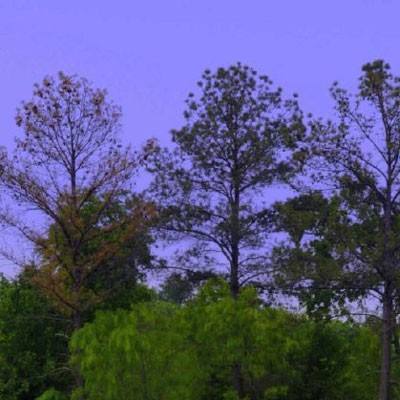 ky体育官方平台