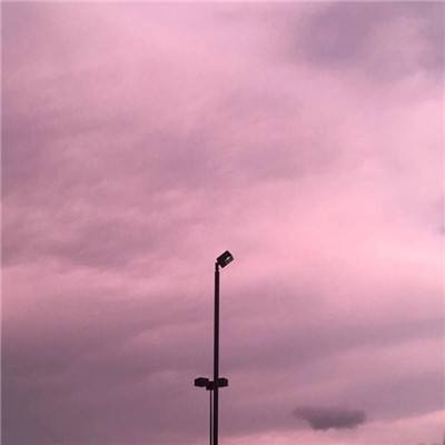 365平台下载手机app下载