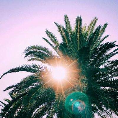 云开平台APP官方全站APP入口