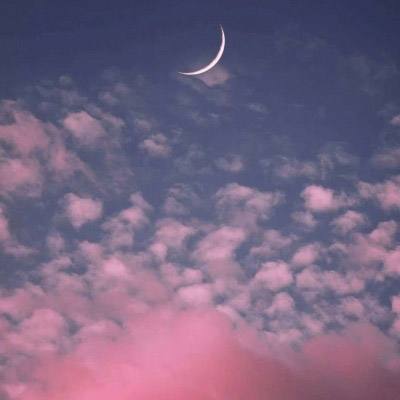 b体育官网入口在线