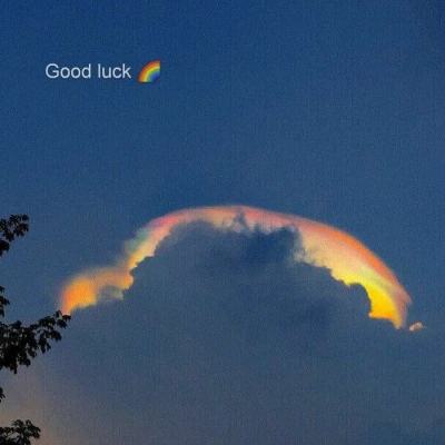 2023年香港资料精准