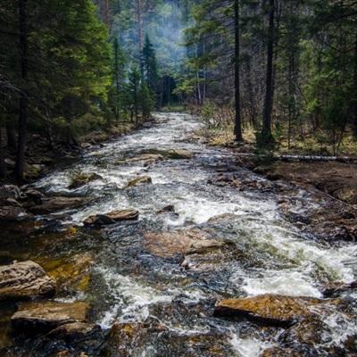 半岛官方网站入口下载