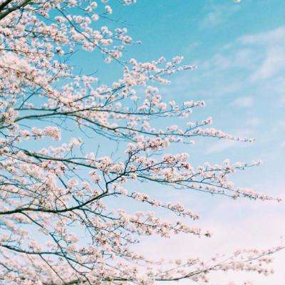 炸金花游戏手机app下载