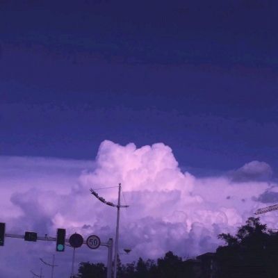 澳门王中王100%的资料app下载截图